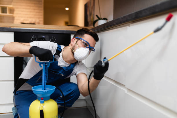 Best Best Pest Control Companies  in Gaylord, MI