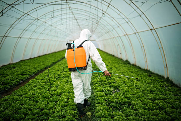 Best Best Pest Control Companies  in Gaylord, MI