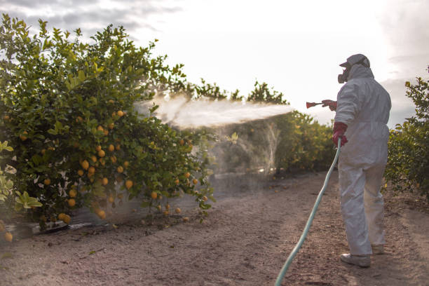 Professional Pest Control in Gaylord, MI