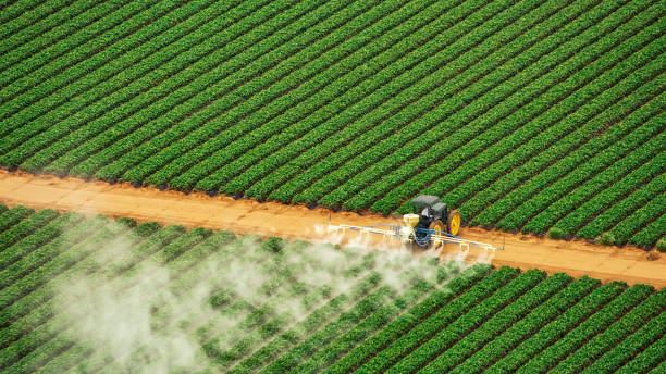 Best Pest Removal Services  in Gaylord, MI