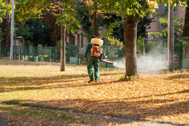 Best Pest Control for Homes  in Gaylord, MI