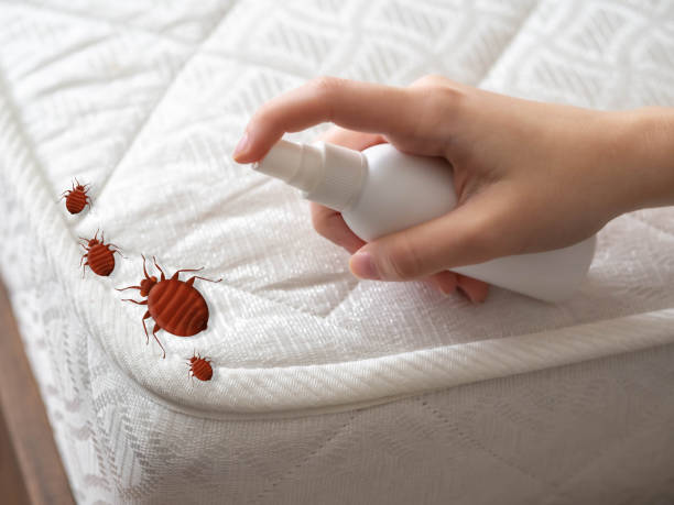 Best Local Pest Control Services  in Gaylord, MI