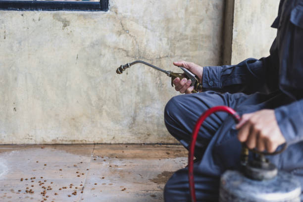 Best Mosquito Control Services  in Gaylord, MI