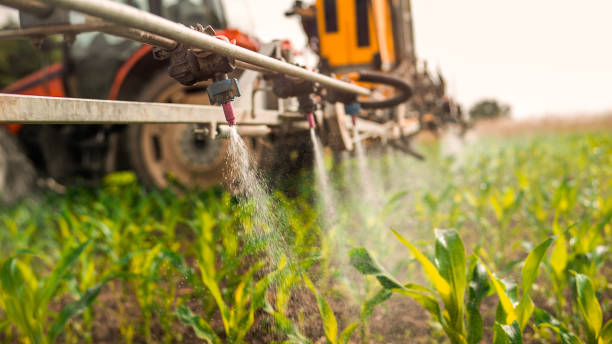 Best Pest Control Cost  in Gaylord, MI